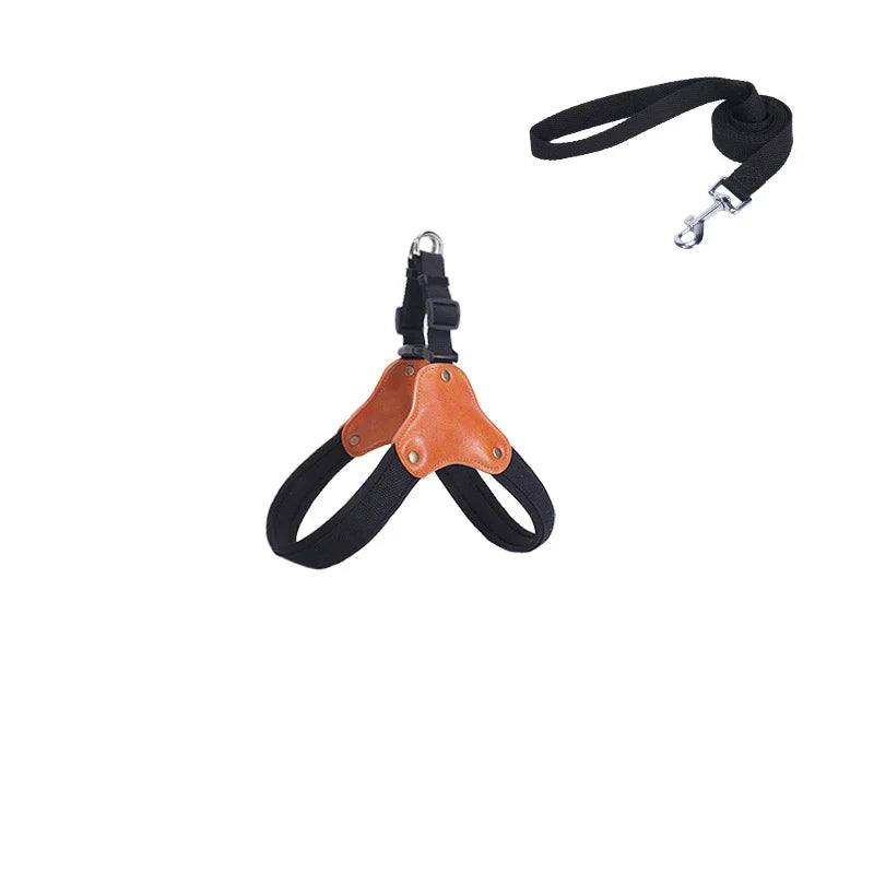 PawCommand Premium Outdoor Geschirr-Set