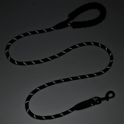 SafeWalk Reflektierende Nylon Hundeleine