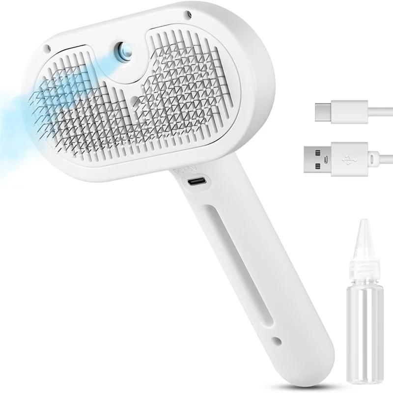 AquaGroom A20P Dampfbürste