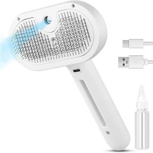 AquaGroom A20P Dampfbürste