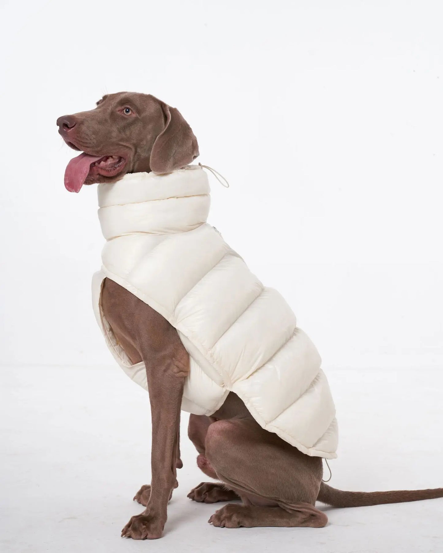 Premium Winter Winddichte Hundejacke