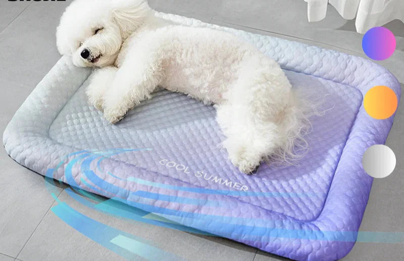 COOL PAWS – Kühlende Haustiermatratze für Hunde und Katzen