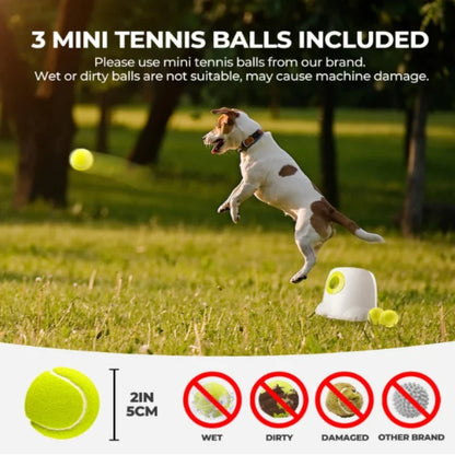 Automatischer Hunde-Ballwerfer – Interaktives Apportierspielzeug