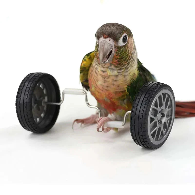 Balancierspielzeug für Papageien – interaktives Plastik für kleine Vögel