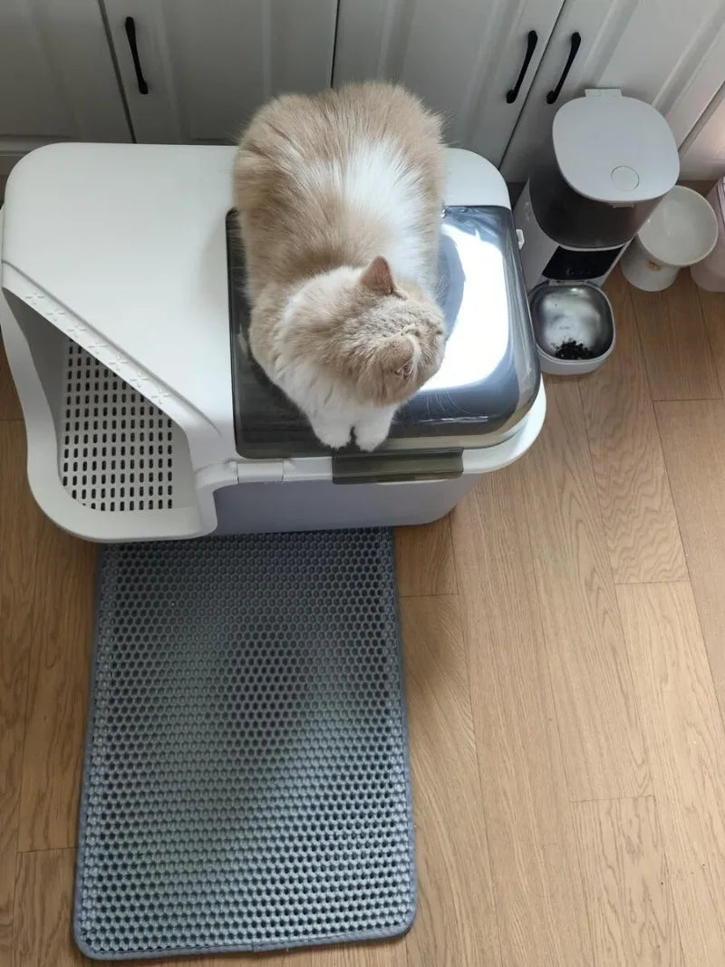 FazziKat Deluxe Katzentoilet mit Korridor-Design