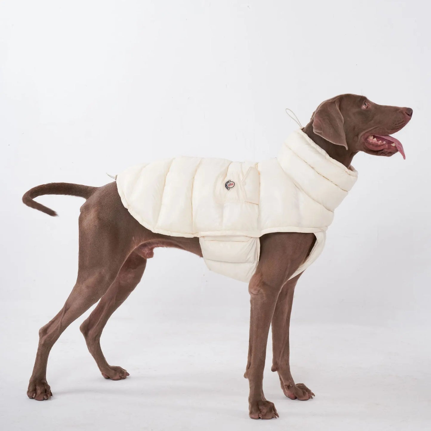 Premium Winter Winddichte Hundejacke