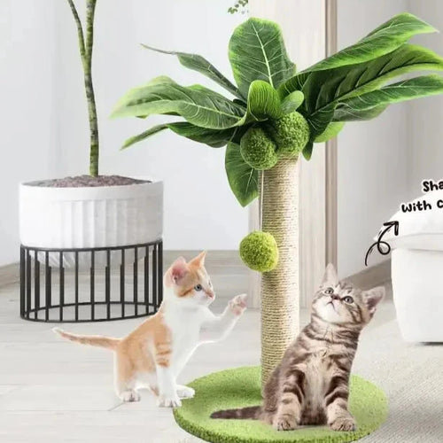 Sisal-Kratzbaum für Katzen, 30 cm, mit Hängekugeln – Plüsch & Holz, stabil