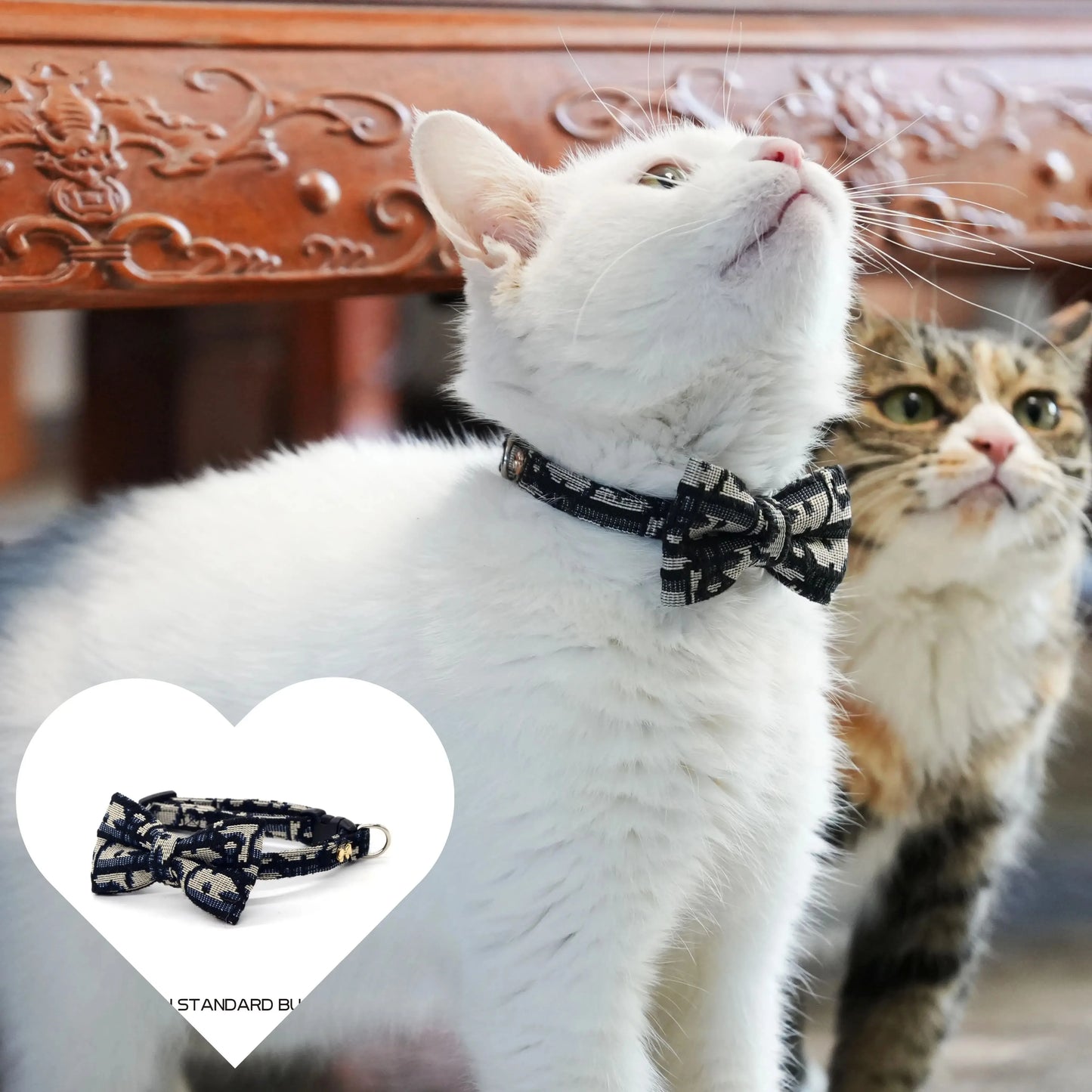 LuxePaw Abnehmbares Schleifenhalsband