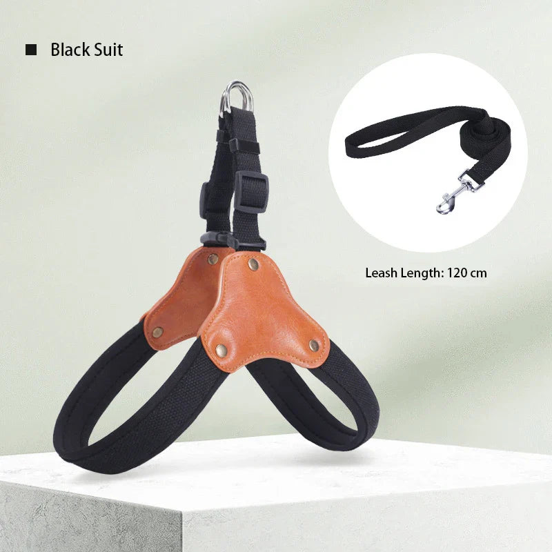 PawCommand Premium Outdoor Geschirr-Set