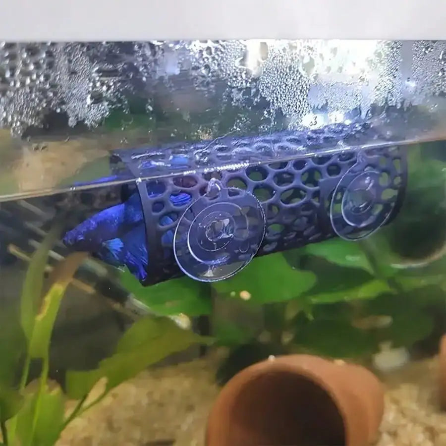 AquaHaven Schwarze Aquarium-Versteckröhre mit Saugnapf