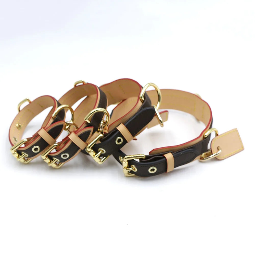 BellaCord Klassische Hundeleine & Halsband