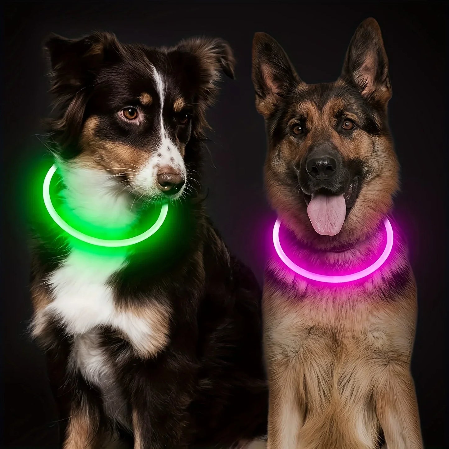 GlowGuard LED-Sicherheitshalsband für Hunde – USB-aufladbar & reflektierend