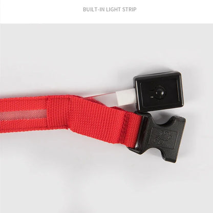 LumiGlow LED Leuchthalsband für Hunde