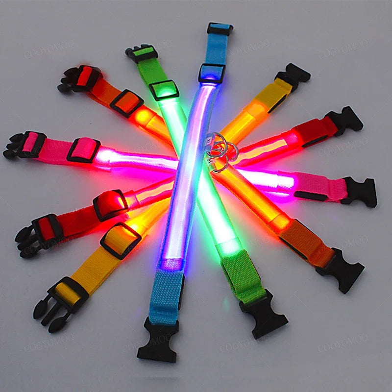 LumiGlow LED Leuchthalsband für Hunde