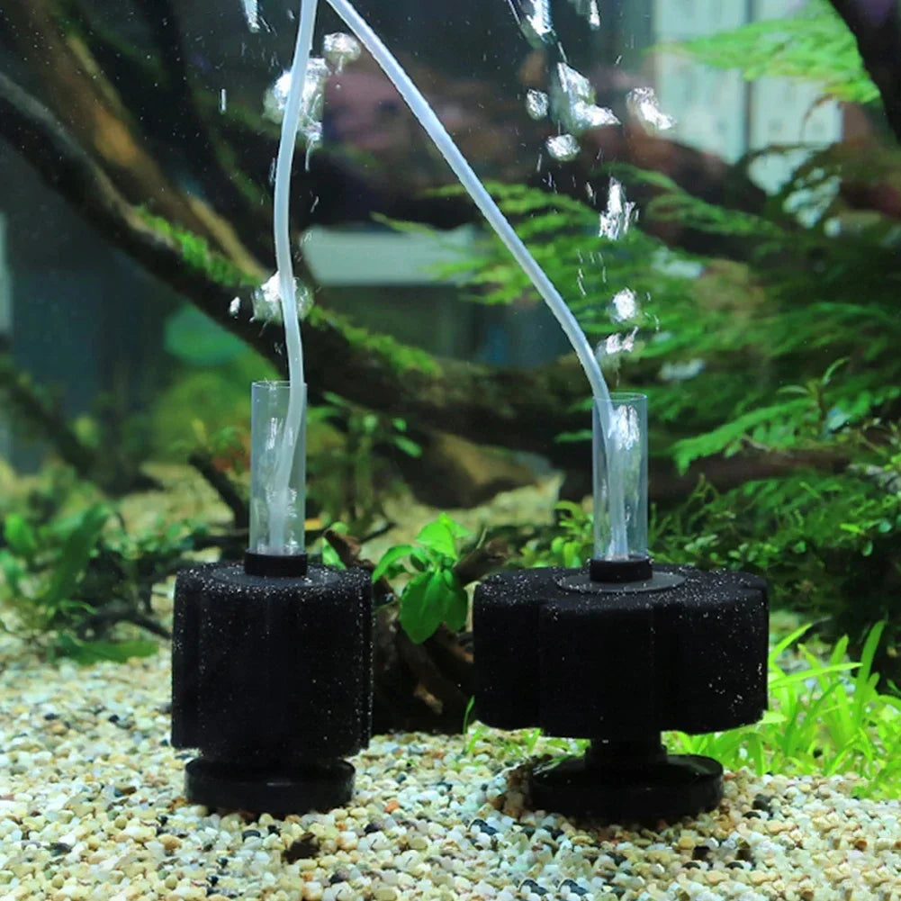 AquaPure Biochemischer Schwammfilter für Aquarium | Luftpumpe, Skimmer und Biofilter Zubehör