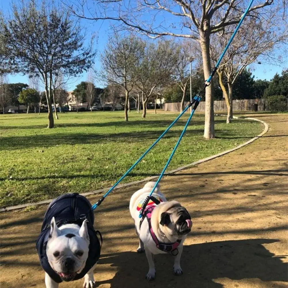 DuoWalk Nylon Doppel-Hundeleine