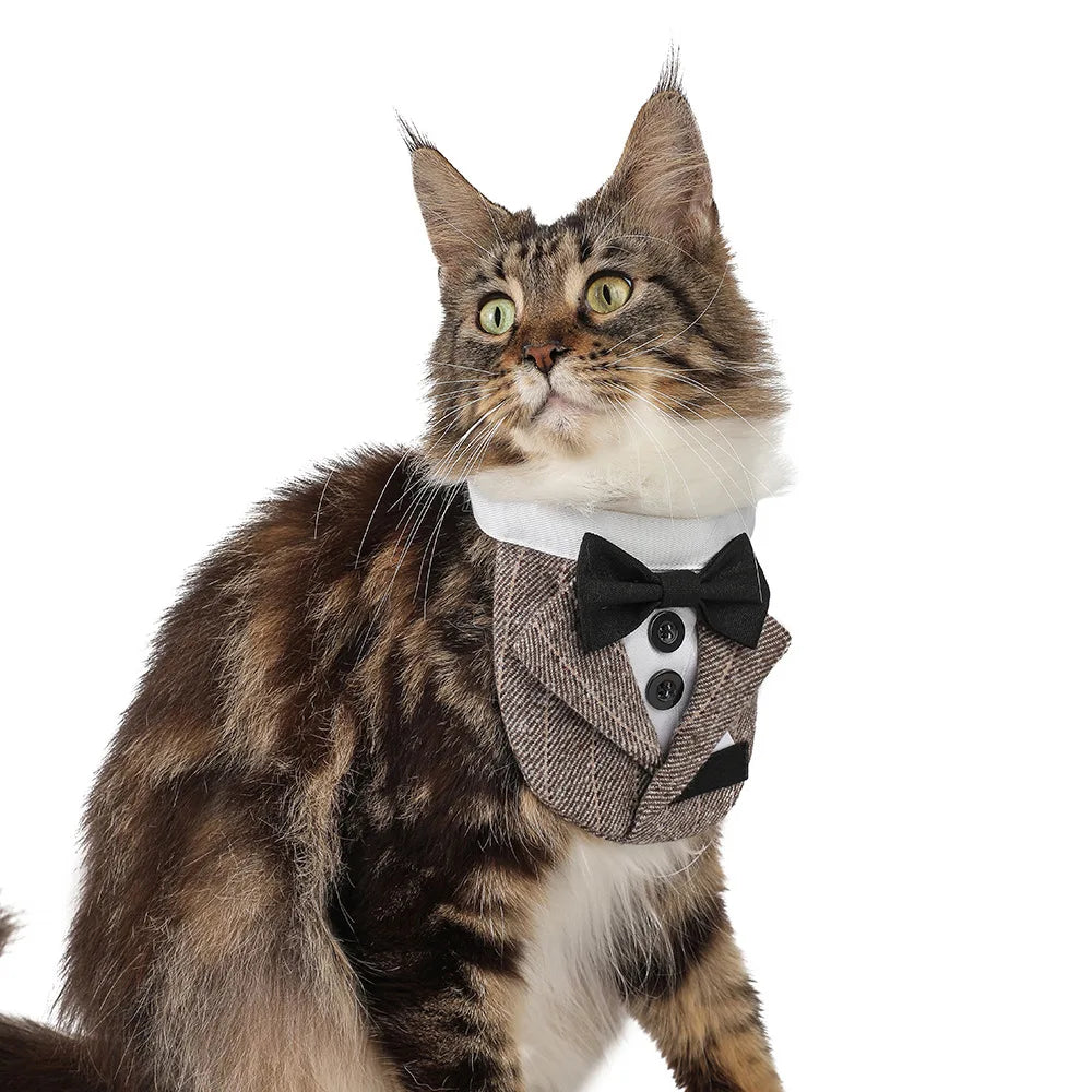 ElegancePaws Luxus Haustier-Bandana