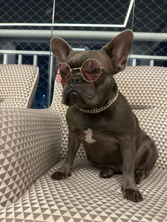 GlamPaw Diamant-Kubanische Gliederkette