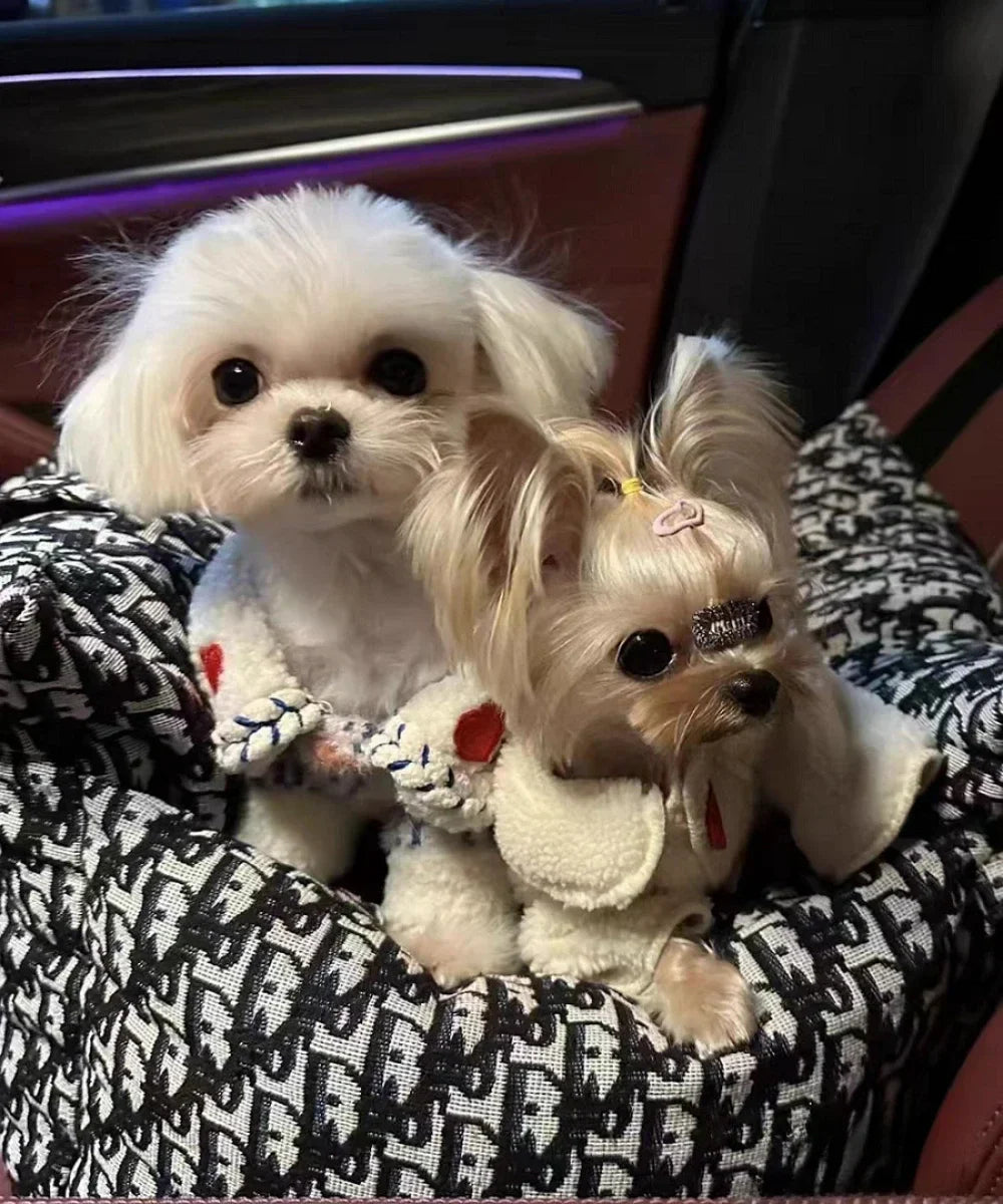 Autobox für Hunde – Herausnehmbare und waschbare Hundebox für Herbst und Winter