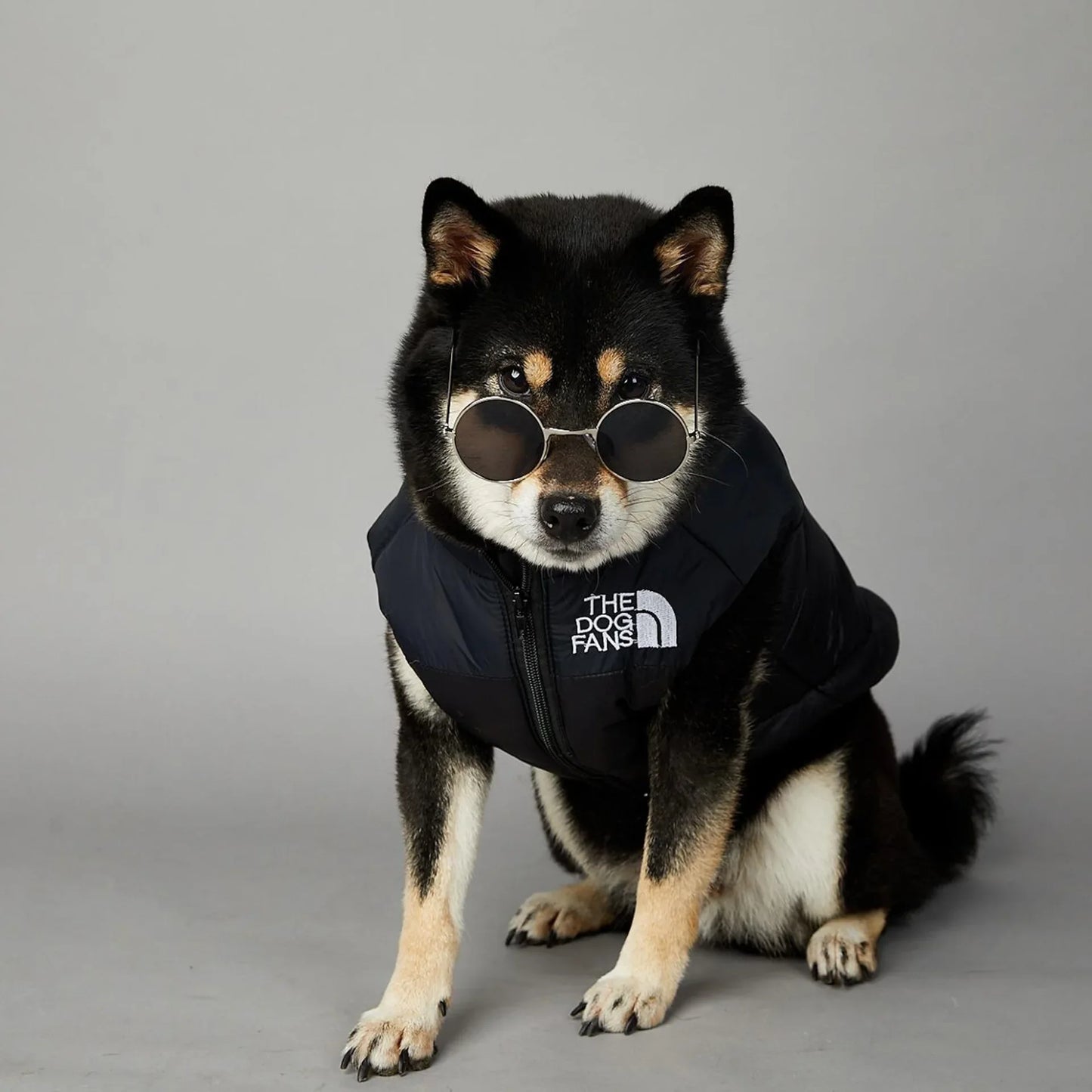 Der luxuriöse Hundeanzug für Hundefans