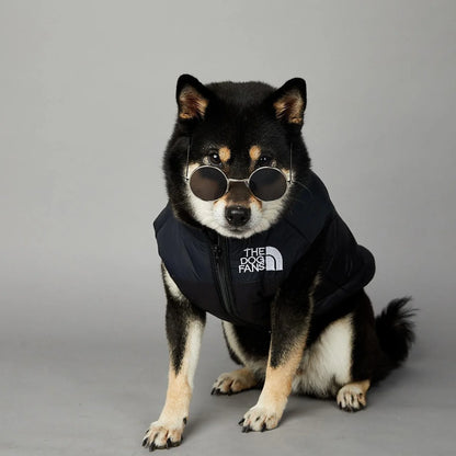 Der luxuriöse Hundeanzug für Hundefans