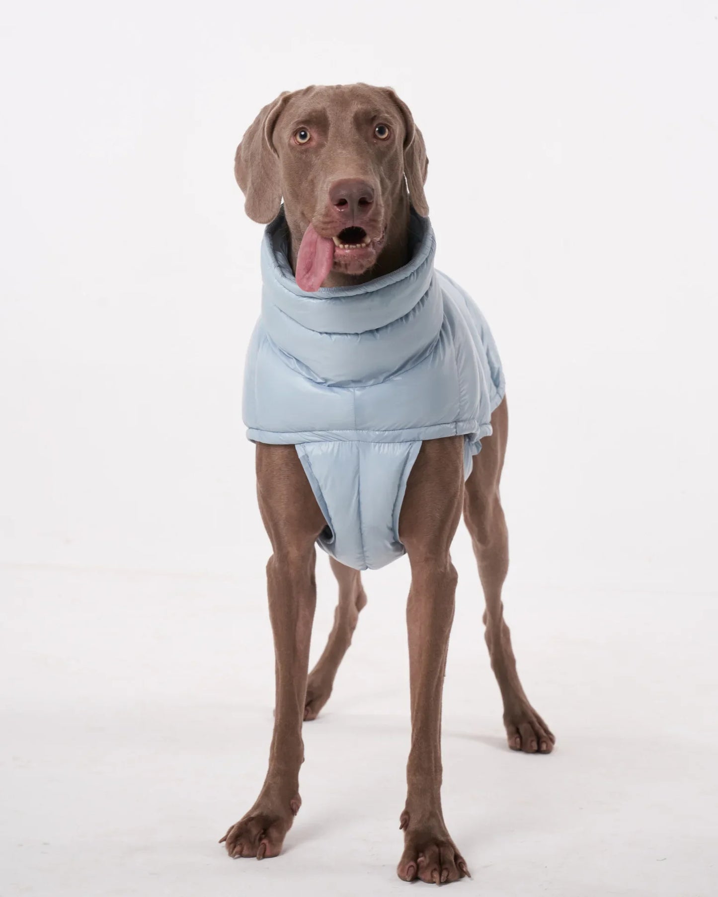 Premium Winter Winddichte Hundejacke