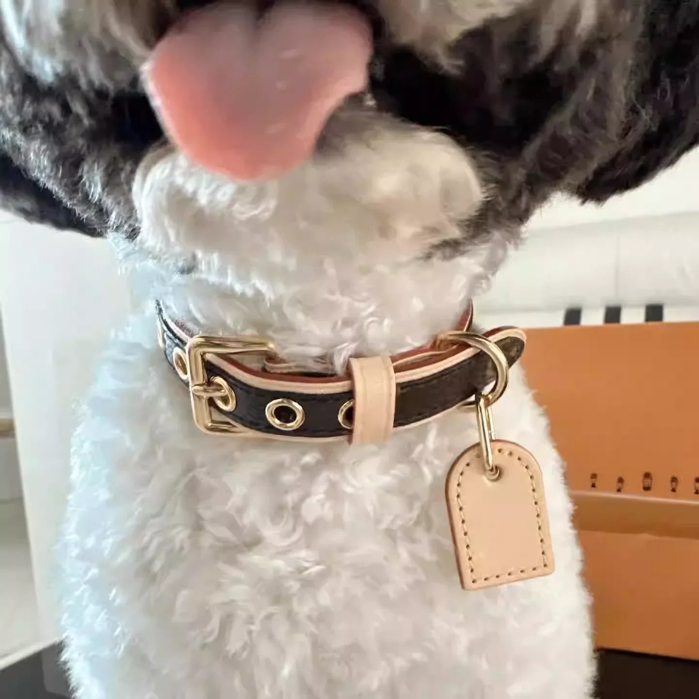 BellaCord Klassische Hundeleine & Halsband