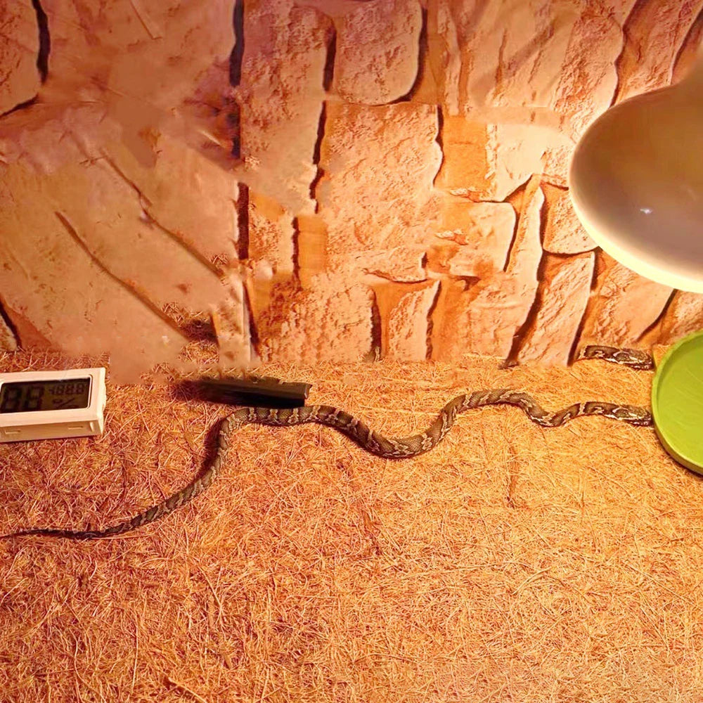 EcoTera Natur-Kokosfaser Terrarienmatte