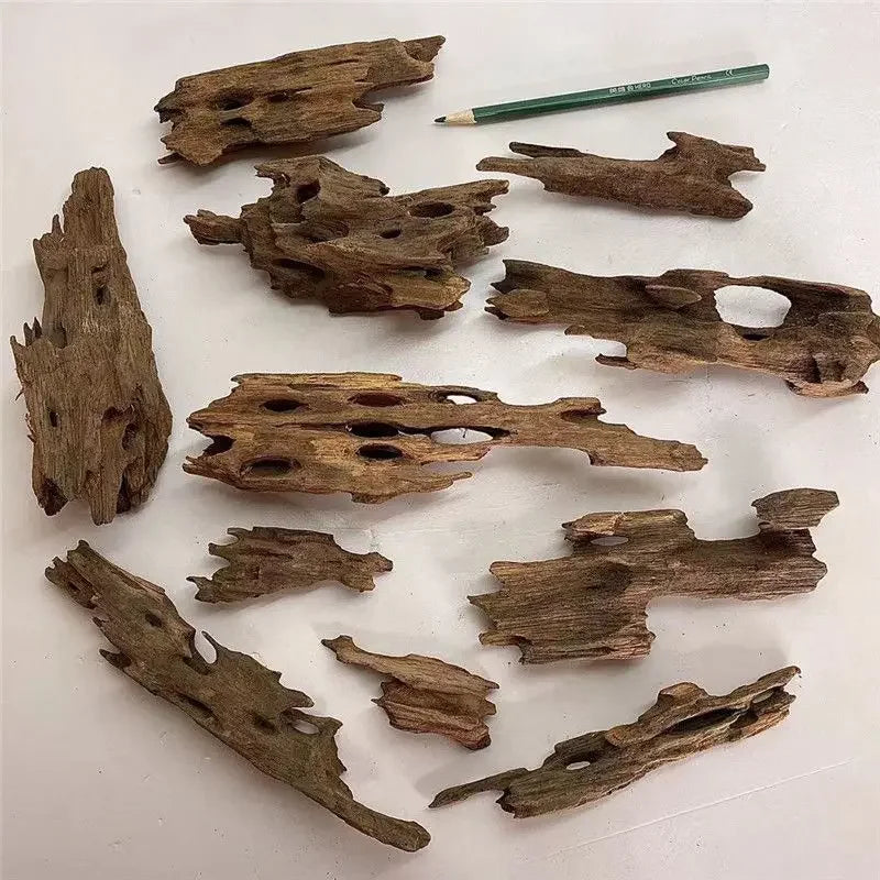 Aquariumdekoration aus natürlichem Treibholz