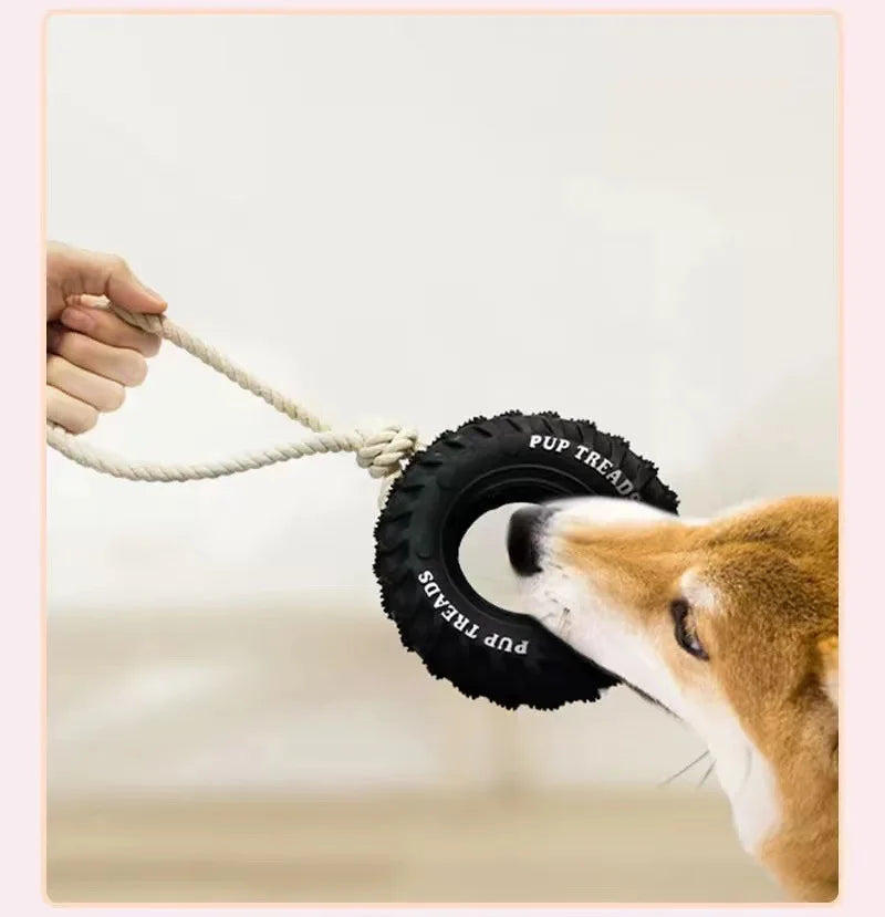 Climb Paws Hunde-Beißspielzeug