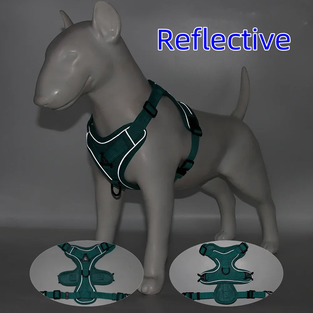 Paw Secure Geschirr- und Leinen-Set