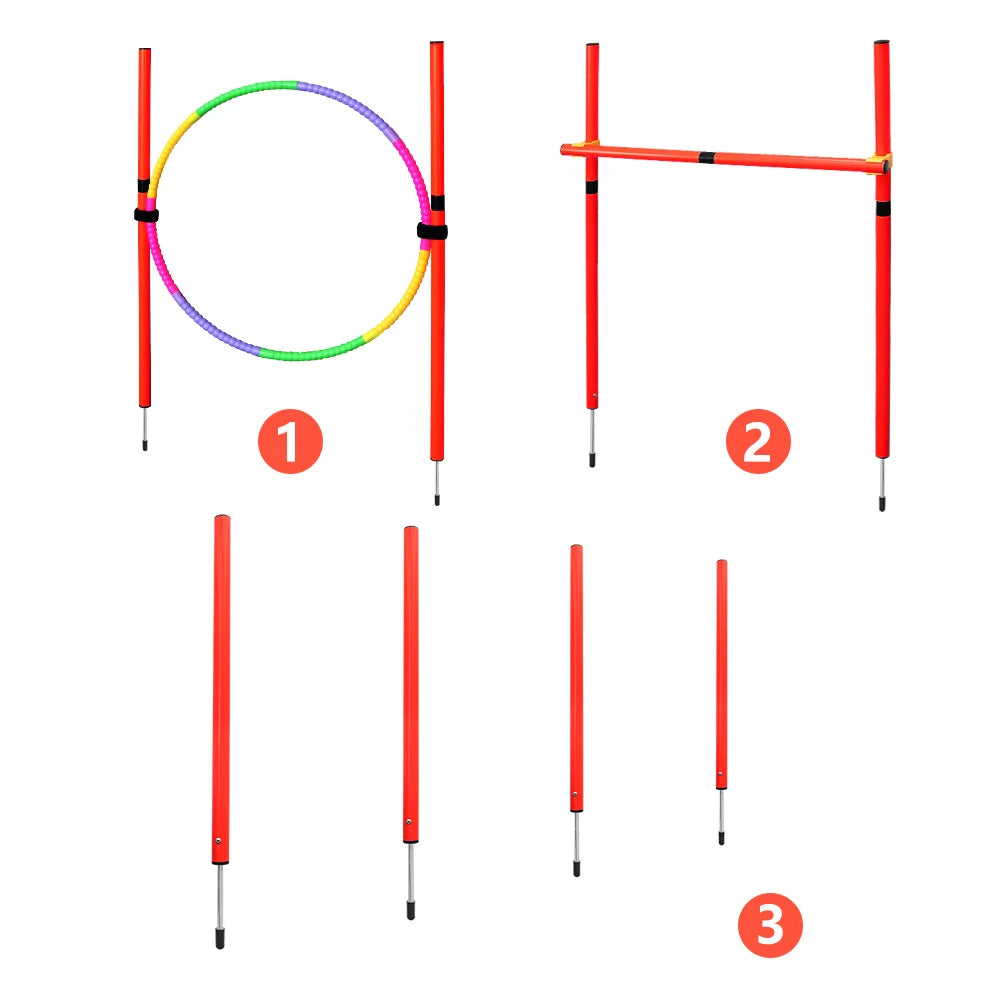 AgiliPro Hundesport-Trainingsset