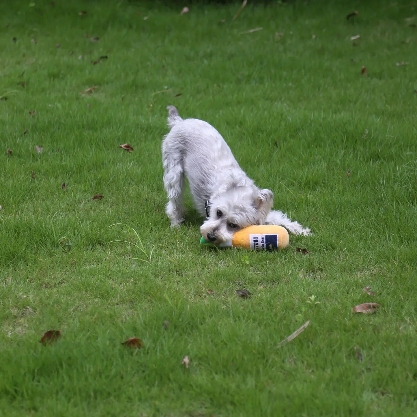 PawJoy interaktives Hundespielzeug in gelber Weinflasche