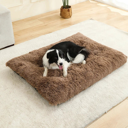 Paw Haven Luxus-Plüsch-Hunde- und Katzenbett