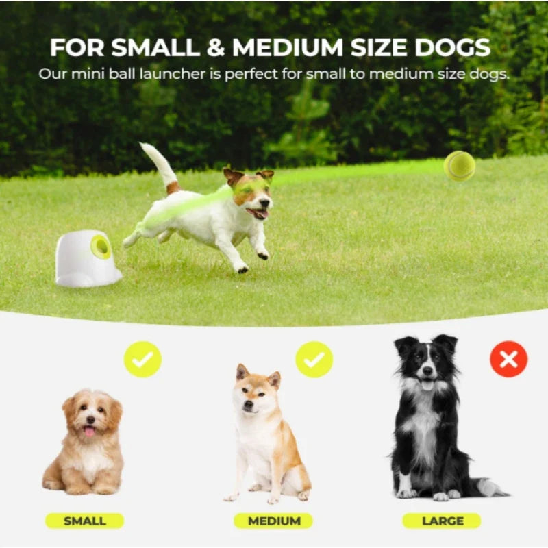 Automatischer Hunde-Ballwerfer – Interaktives Apportierspielzeug