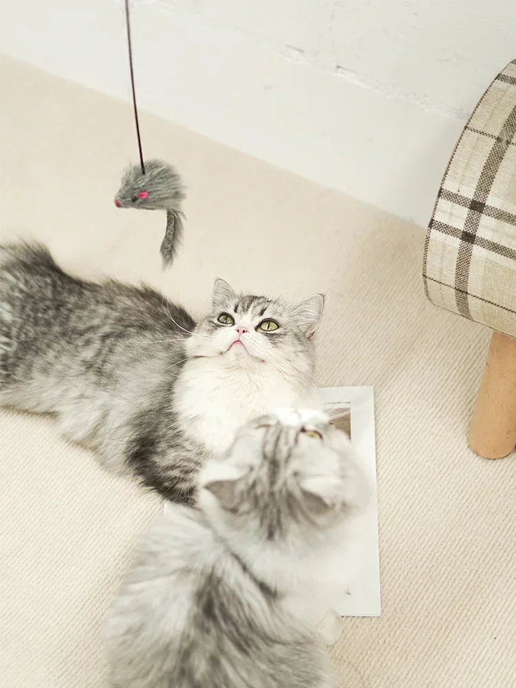 MousePlay Türhänger Katzenspielzeug