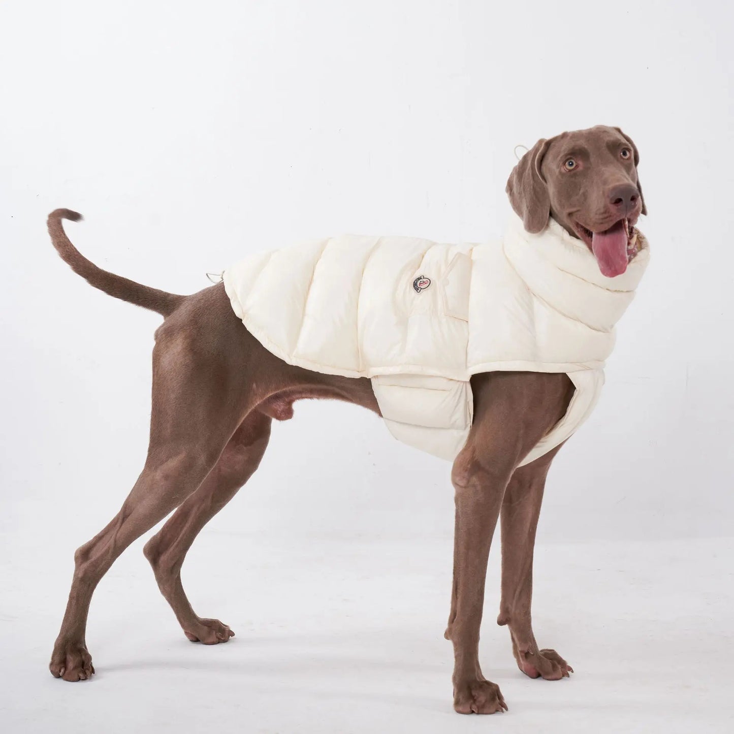 Premium Winter Winddichte Hundejacke