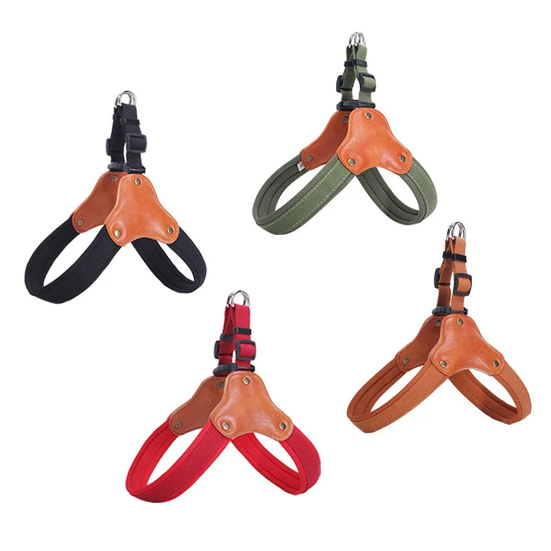 PawCommand Premium Outdoor Geschirr-Set