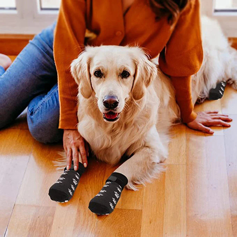 PawSafe rutschfeste Hundesocken