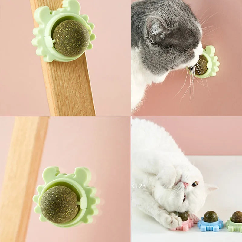 CatVita LickBall – Katzenminze Leck- & Snackball für Zahnpflege und Verdauung