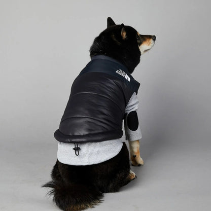 Der luxuriöse Hundeanzug für Hundefans