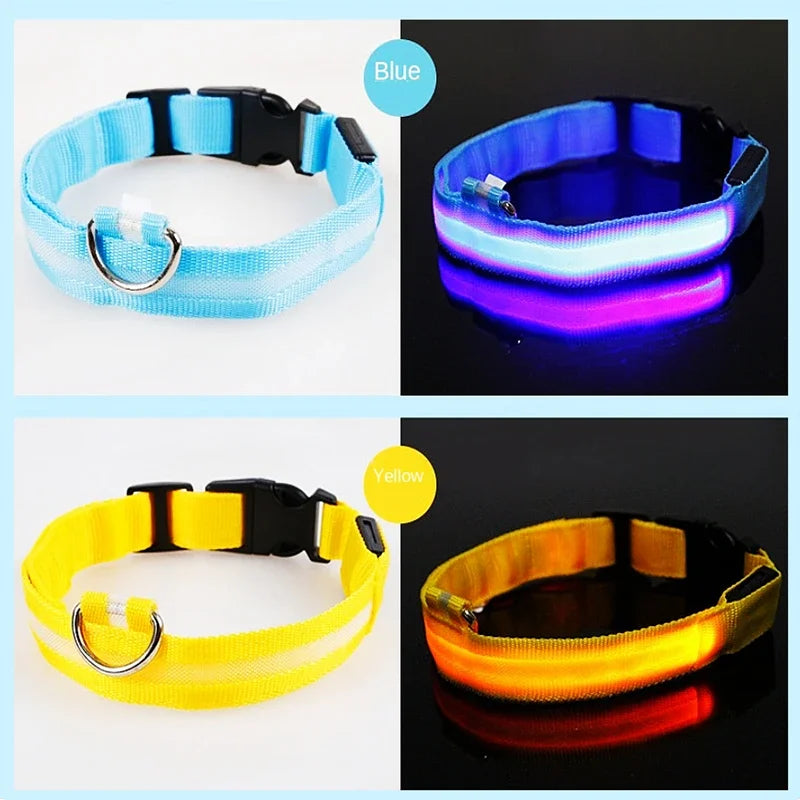 LumiGlow LED Leuchthalsband für Hunde