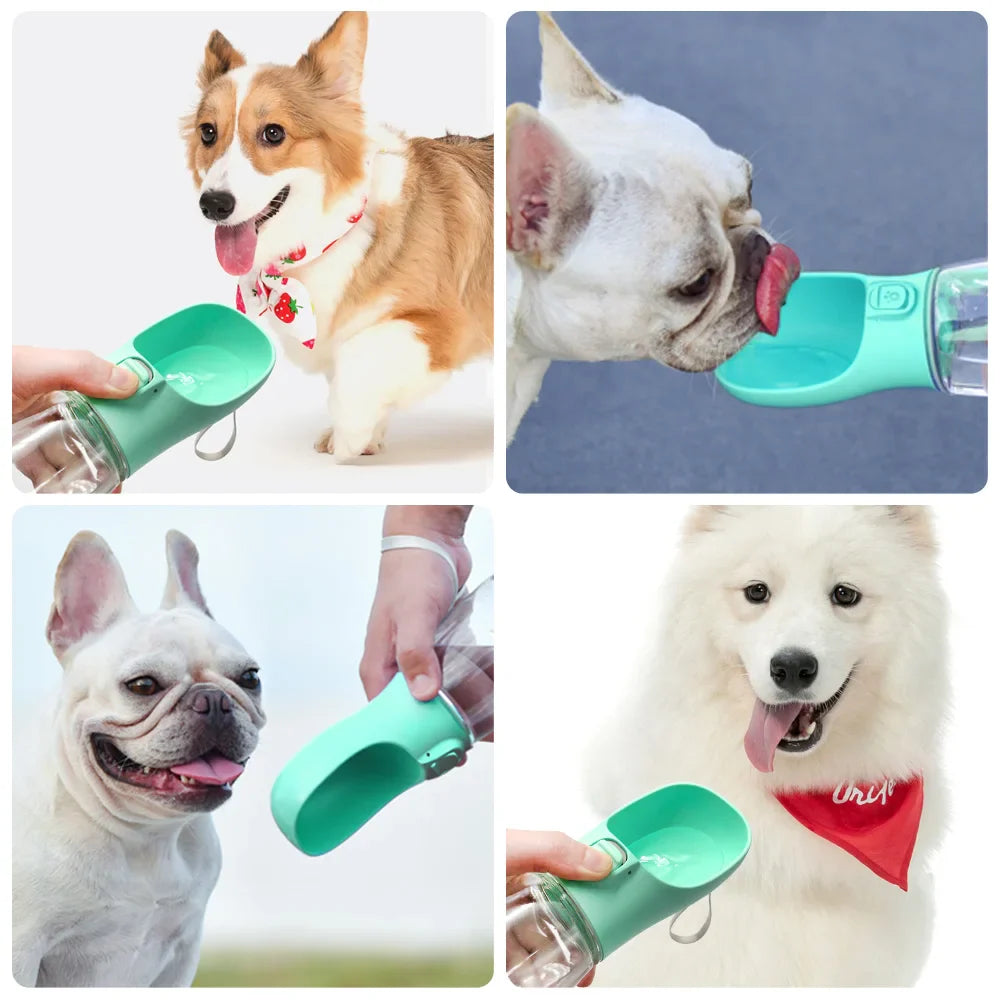 HYDROPAW – Tragbare Wasserflasche für Hunde & Katzen