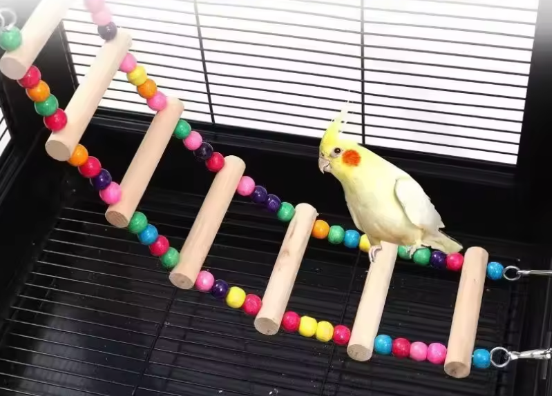 Kletterleiter aus Holz für Papageien – 31–56 cm – mit Aufhängehaken