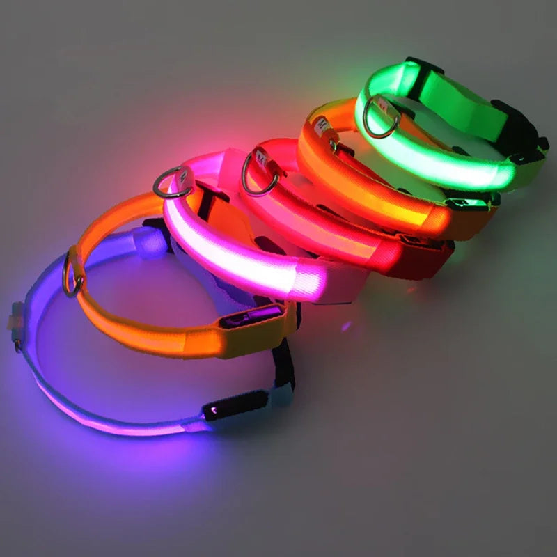 LumiGlow LED Leuchthalsband für Hunde