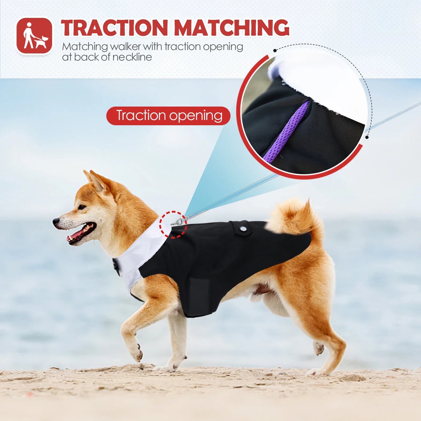 RoyalPaws Eleganter Hunde-Smok – Festlicher Hochzeitsanzug