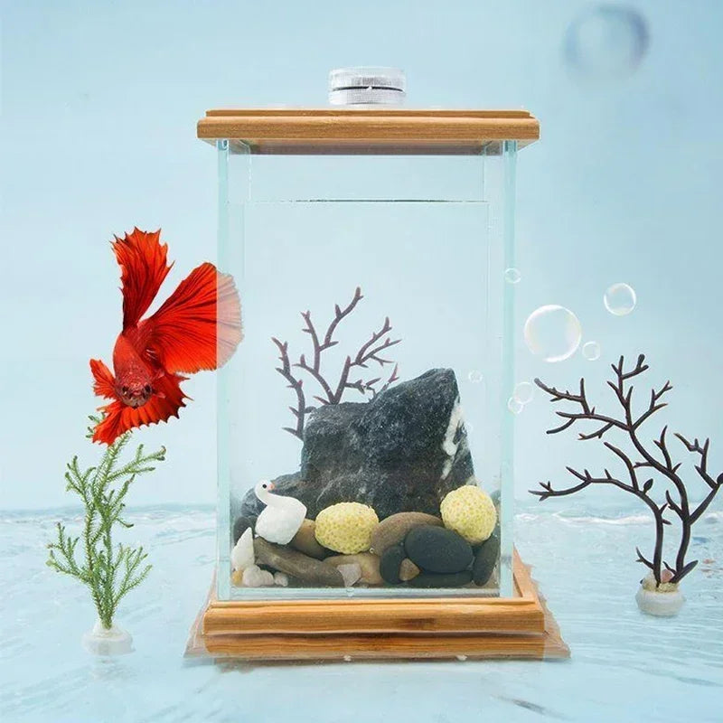 AquaGlow LED zylindrisches Mini-Aquarium