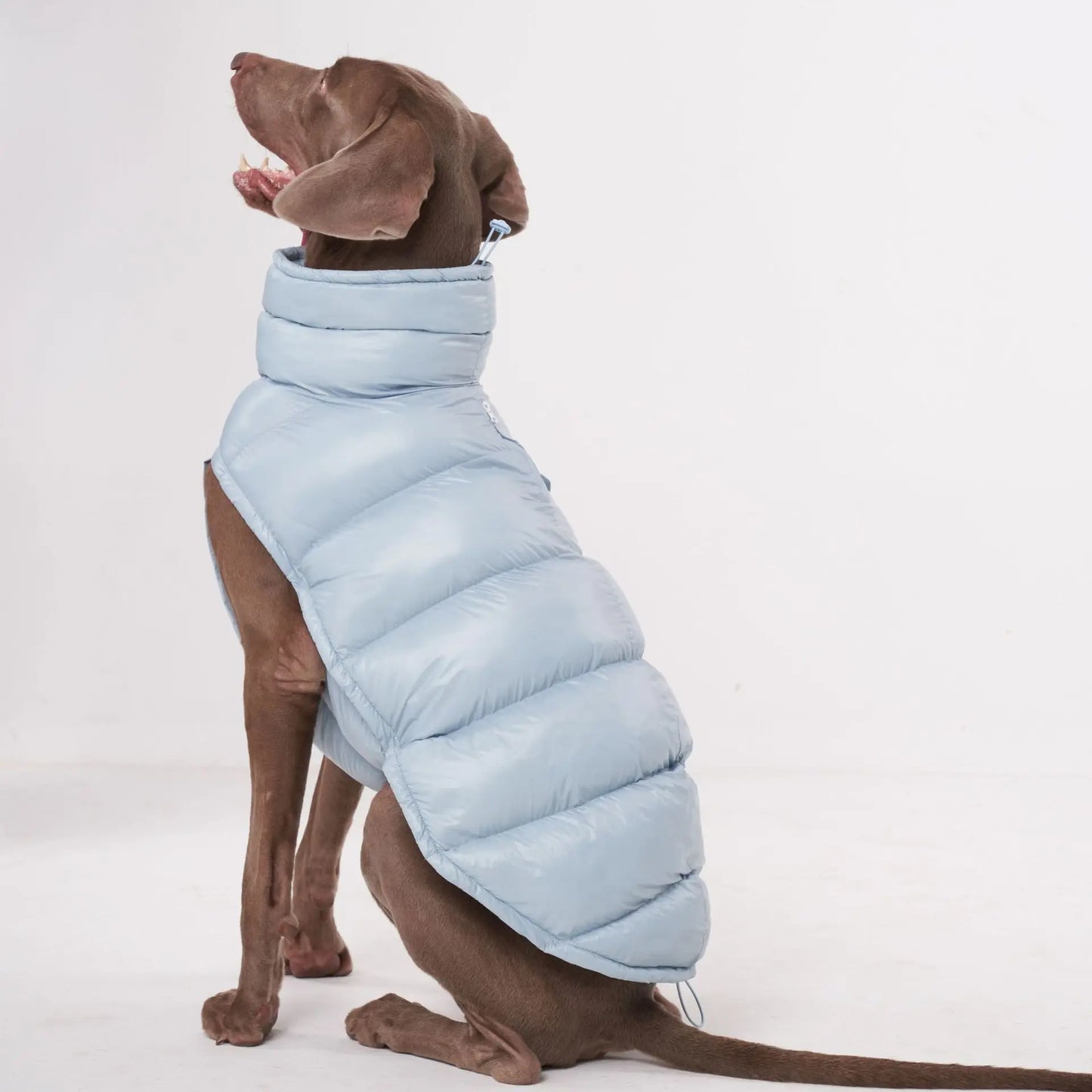 Premium Winter Winddichte Hundejacke