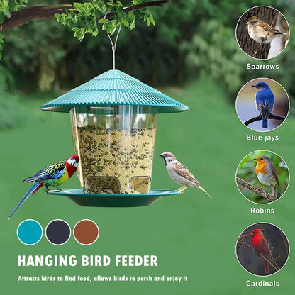 Automatischer Vogelfutterspender