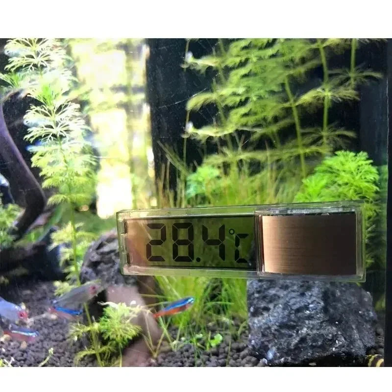 AquaView Digitales LCD Aquarium-Thermometer